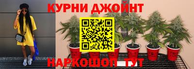 гидропоника Коммунар