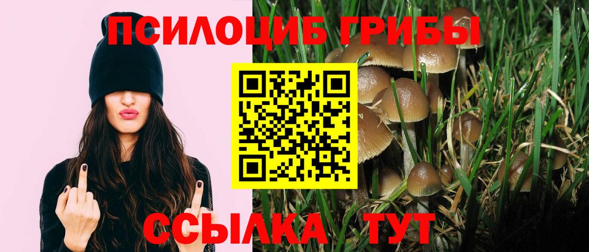 Псилоцибиновые грибы Magic Shrooms  Псилоцибиновые грибы мухоморы  Корсаков  Вход с VPN 